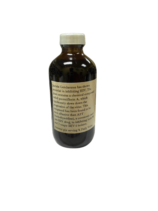 Justicia Gendarussa - Image 3